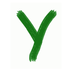 Y
