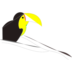 papagayo