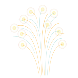 Feu d artifice