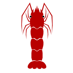 Shrimp