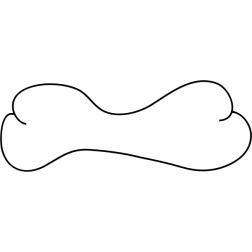 bone