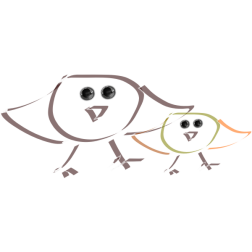 birds