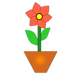 Red flower-1630097831