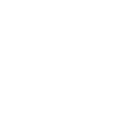 briefcase
