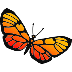 Orange butterfly-1628922115