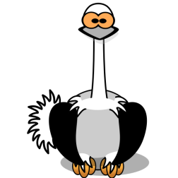Cartoon vulture-1632589235
