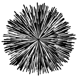 Fireworks silhouette