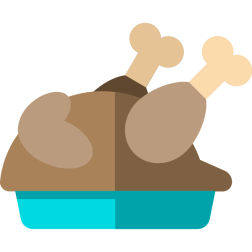 turkey
