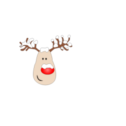 Reindeer