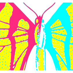 colors