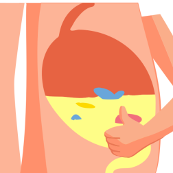 Gastric test