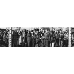Auschwitz