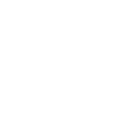dish