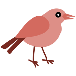 Pink bird-1625871375