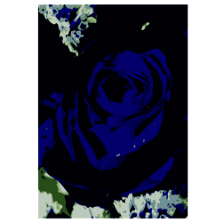 1526529518