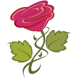 Pink rose-1627594843