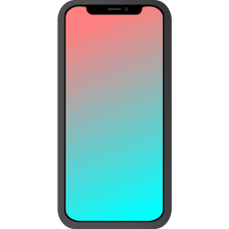 Phone in a case