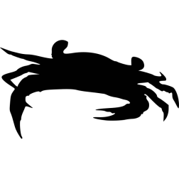 1527626388
