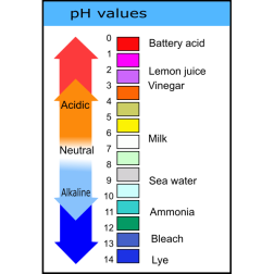 pH