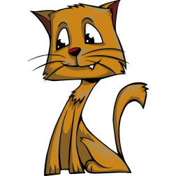 Yellow kitten