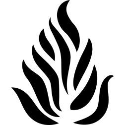 1528295499