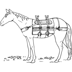 1528637254