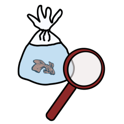Fish and loop