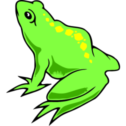 Green frog-1631205652