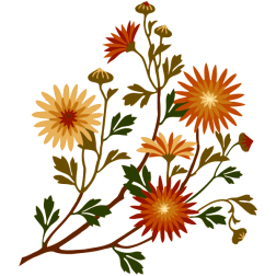 Yellow and orange flowers