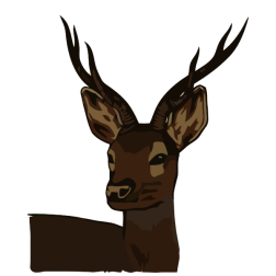 Antler vector image