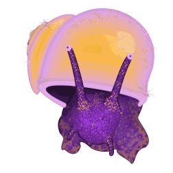Queer Snail