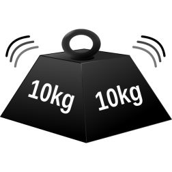 10 kg weight