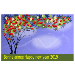 Bonne annÃ©e 2019 version 2