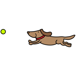 Dog chasing ball