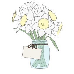 Daffodils in a vase