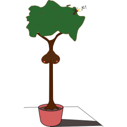 boobietree
