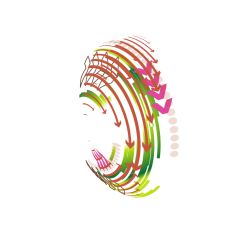 Coloured lines and arrows