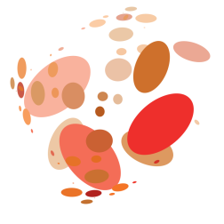 Abstract circle shapes in colour
