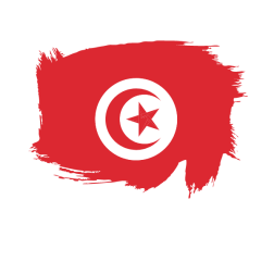 Painted flag of Tunisia