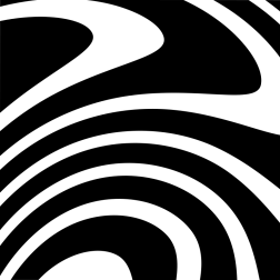 Black white zebra pattern