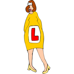 Learner