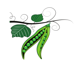 Green peas-1621764062