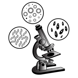 Microscope virus detection