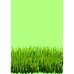 grass