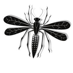 Insect vector clip art