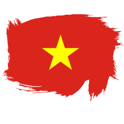 Painted flag of Vietnam