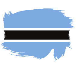 Painted flag of Botswana