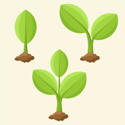 Small plants with green leaves