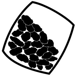 Raisins