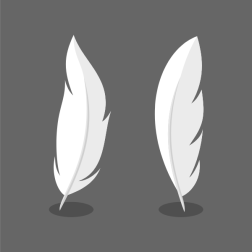 White feathers